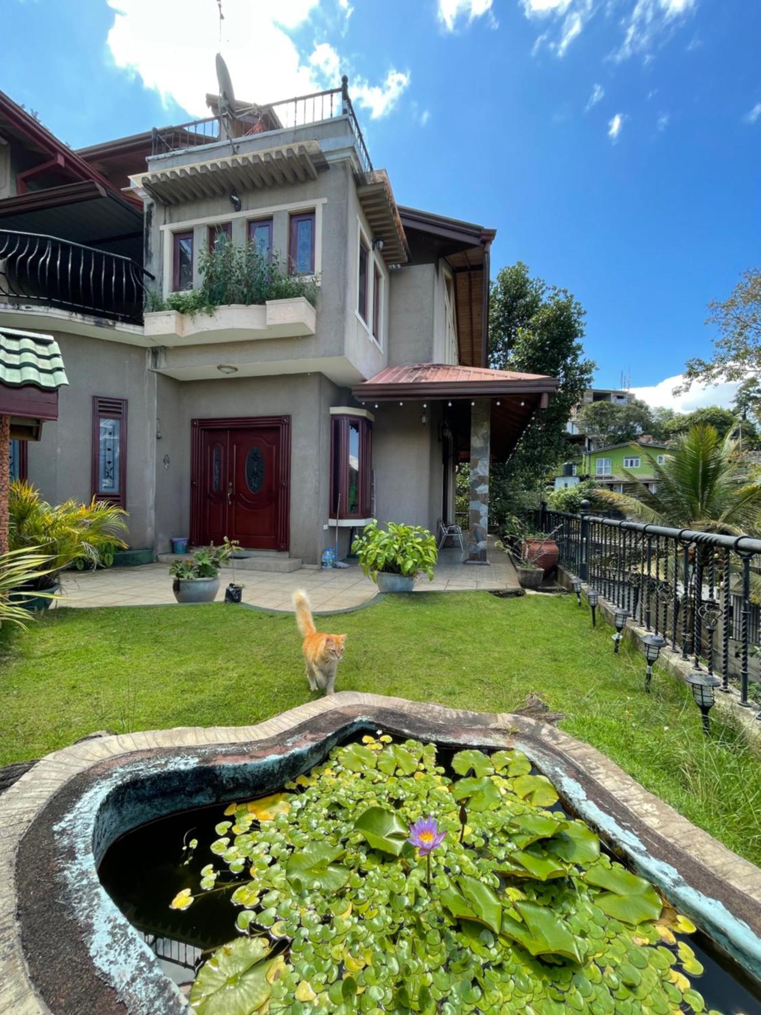 中国蒲公英民宿dandelion Guest House Villa With Mount View كاندي المظهر الخارجي الصورة